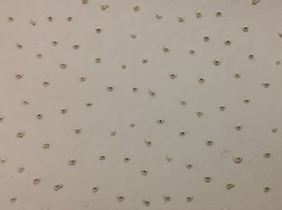 Da PVC / PU-pts014